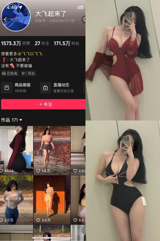 大飞起来了(飞飞以飞飞)：微密作品-合集下载-微密岛
