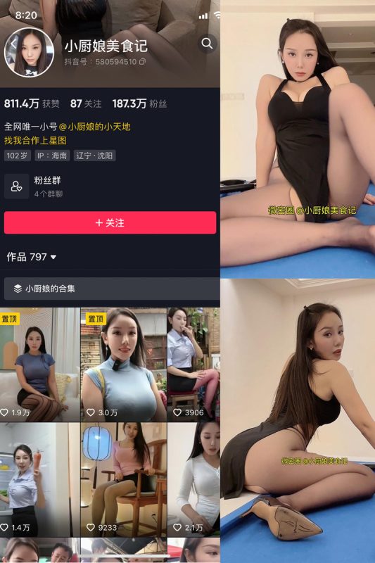 小厨娘美食记：微密作品-合集下载-微密岛
