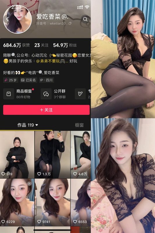 爱吃香菜：微密作品-合集下载[持续更新]-微密岛