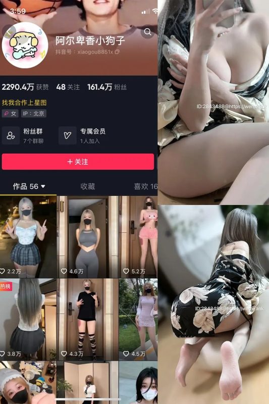阿尔卑香小狗子：微密作品-合集下载-微密岛