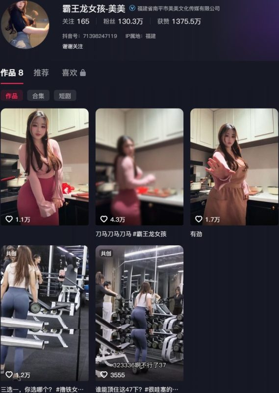 霸王龙女孩：微密作品-合集下载[持续更新]-微密岛